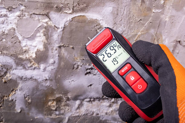 Best Fast Mold Removal  in Winfield, AL